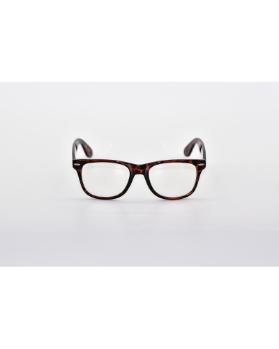 Classic Clear Lens Glasses - Tortoise front