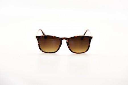 Gisele - Tortoise Classic unisex Sunglasses front