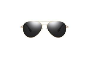 Foxx - Gold Black Polarised Aviator Sunglasses