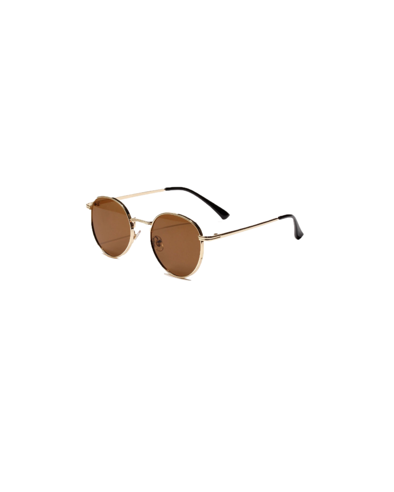 Harlow Gold Vintage Round Sunglasses brown Lens